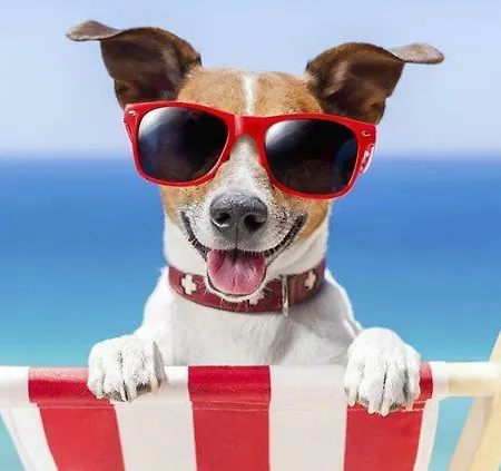 El Amanecer De Lägenhet *